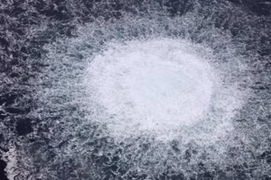 Sau khi Ukraine chính thức ngừng cung cấp khí đốt Nga sang châu Âu, giá khí đốt của EU tăng vọt lên 50 euro cho mỗi megawatt giờ, một con số chưa từng thấy kể từ tháng 10/2023.