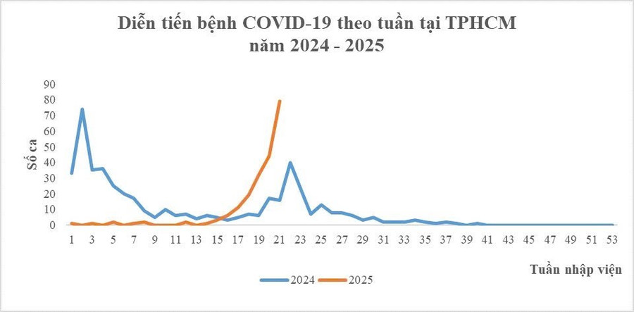 Diễn tiến bệnh Covid - 19 theo tuần. 1000133123.jpg