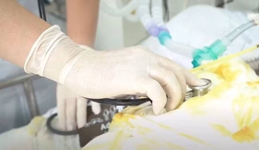 Người mẹ được điều trị tại Bệnh viện Chợ Rẫy, tiên lượng rất nặng. (Ảnh: BVCC)