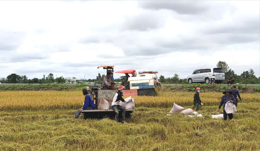 Chương trình chuyển đổi "lấy nông dân làm trọng tâm" đã hỗ trợ hàng chục nghìn nông dân sản xuất.