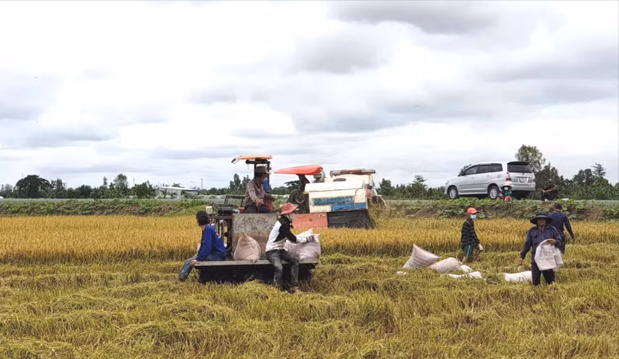 Chương trình chuyển đổi "lấy nông dân làm trọng tâm" đã hỗ trợ hàng chục nghìn nông dân sản xuất.