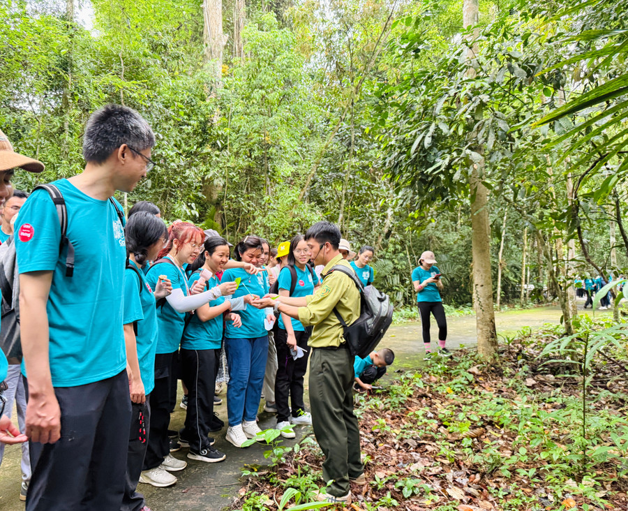 Ngoài trồng cây, các tình nguyện viên được trải nghiệm chương trình “tắm rừng”, giúp gắn kết, gia tăng sức khỏe và tình yêu với thiên nhiên. Ảnh: Gaia anh-6.jpg