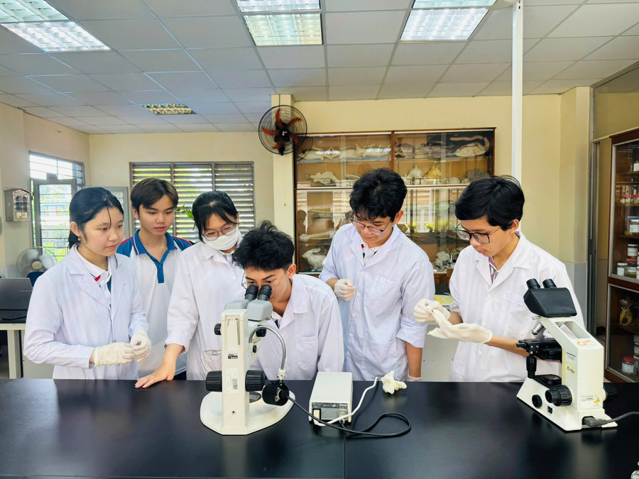 Quá trình nghiên cứu, học tập của nhóm sinh viên trước khi dự thi Olympic Sinh học toàn quốc 2025. Ảnh: HCMUE nghien-cuu.jpg
