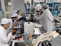 Nhà khoa học nghiên cứu tại phòng thí nghiệm tế bào gốc, Viện Tế bào gốc (Trường Đại học Khoa học Tự nhiên, Đại học Quốc gia TPHCM). Ảnh: Hà An
