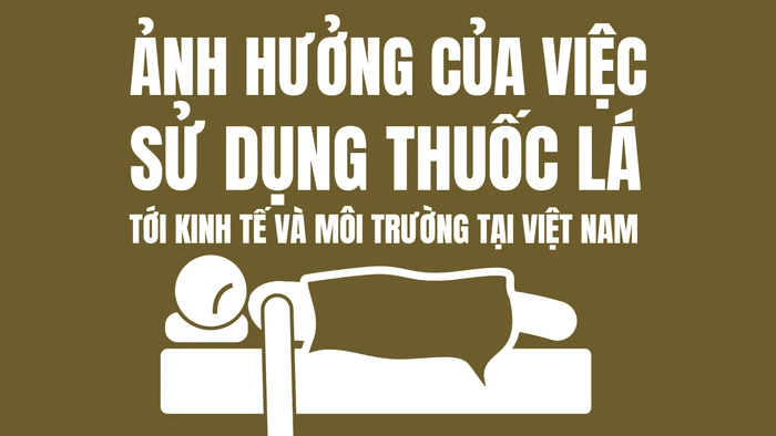 Infographic: Ảnh hưởng của việc sử dụng thuốc lá tới kinh tế và môi trường Việt Nam