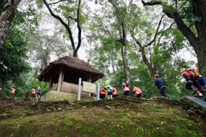 Giải leo núi chinh phục đỉnh Pu Tó Cọ và Giải Việt dã thanh, thiếu niên tỉnh Điện Biên mở rộng được tổ chức trong hai ngày 13 - 14/12.