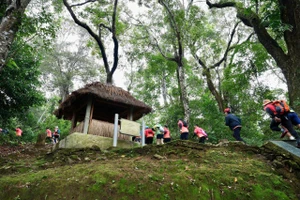 Giải leo núi chinh phục đỉnh Pu Tó Cọ và Giải Việt dã thanh, thiếu niên tỉnh Điện Biên mở rộng được tổ chức trong hai ngày 13 - 14/12.