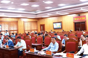 Các đại biểu tham dự Hội nghị cho ý kiến về Đề án sắp xếp đơn vị hành chính cấp xã.