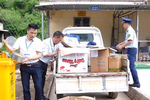 Đoàn kiểm tra liên ngành tiêu hủy số hàng hóa sai phạm. Ảnh: CDC Điện Biên.