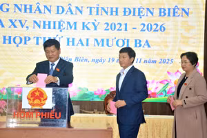 Đại biểu bỏ phiếu bầu chức vụ Chủ tịch UBND tỉnh Điện Biên.