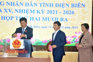 Đại biểu bỏ phiếu bầu chức vụ Chủ tịch UBND tỉnh Điện Biên.