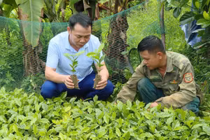 Người dân xã Chiềng Sinh chú trọng phát triển kinh tế hướng tới giảm nghèo bền vững.