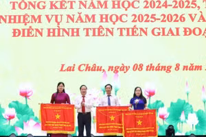 3 tập thể được Thủ tướng Chính phủ tặng Cờ thi đua.