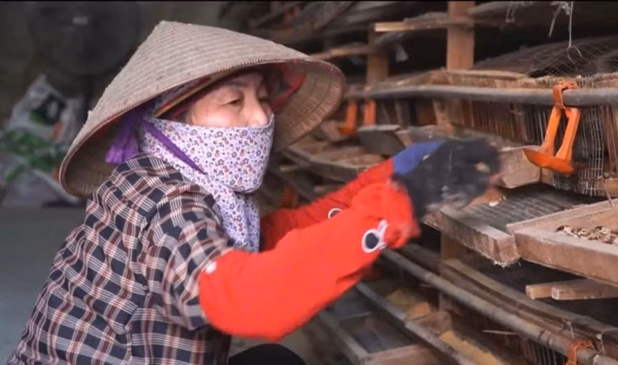 Giảm nghèo nhờ chính sách hỗ trợ trực tiếp hiệu quả. Ảnh TL