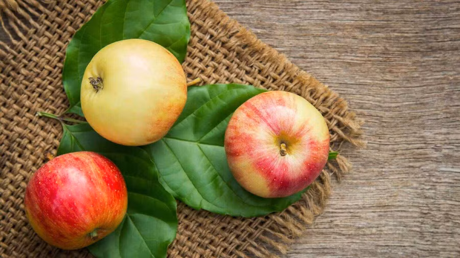 Một lý do để ăn táo nhằm tăng ham muốn tình dục là chúng có thể làm tăng mức năng lượng của bạn. (Ảnh: ITN)