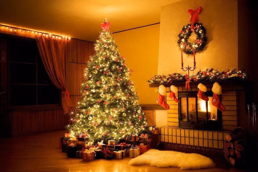 Cây thông Noel sẽ khiến bạn cảm nhận được không khí lễ hội ngay lập tức. (Ảnh: ITN).