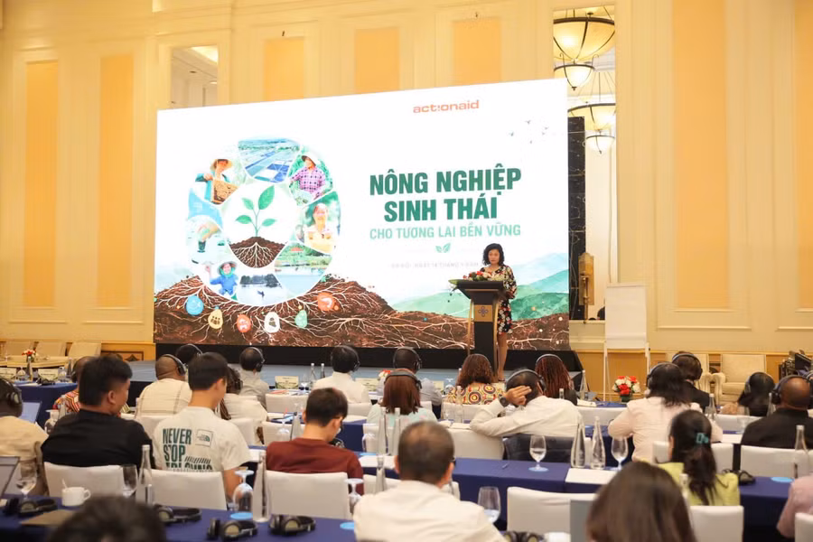 Bà Hoàng Phương Thảo, Trưởng đại diện Tổ chức ActionAid Quốc tế tại Việt Nam, Trưởng Ban Tổ chức Hội thảo phát biểu tổng kết, bế mạc.