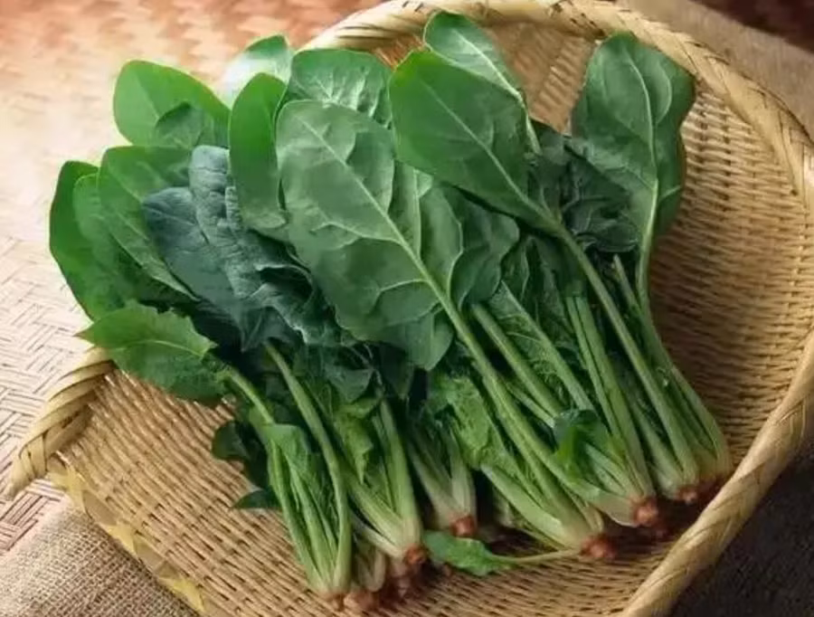 3-doi-voi-nhung-nguoi-da-co-soi-than.jpg