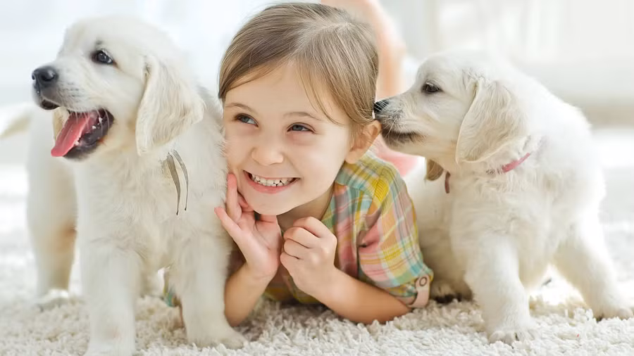 Sự tương tác thân thiết với thú cưng mang đến cho trẻ một mối quan hệ gắn bó ổn định, tăng cường cảm giác an toàn bên trong. (Ảnh: ITN).
