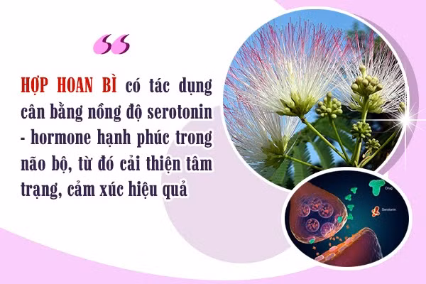 Suy nhược thần kinh do làm quá nhiều việc một lúc ảnh 4