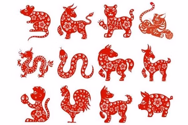 Tử vi 12 con giáp ngày 4/11: Dần vận may đỏ rực, Hợi tài lộc liên tục đổ về