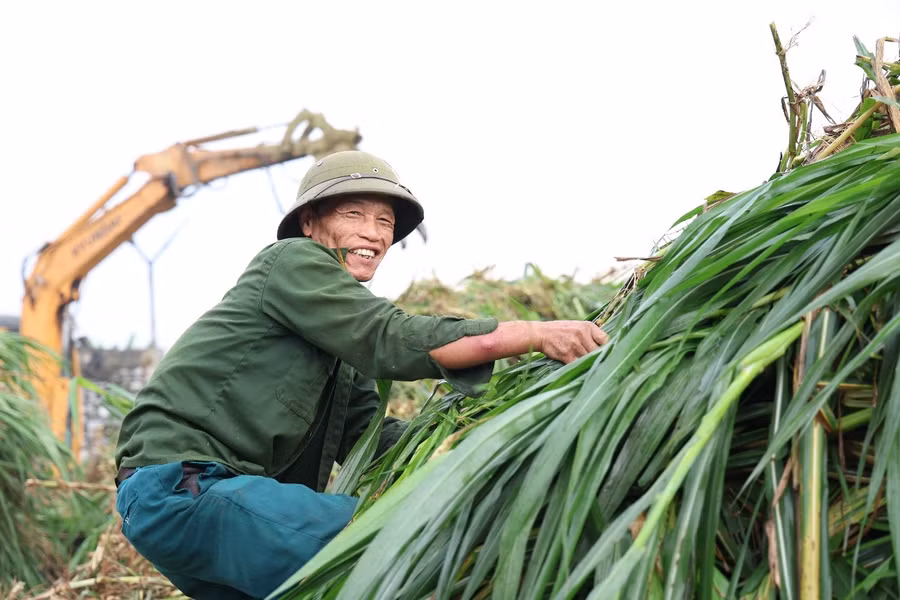 Dọc vùng nguyên liệu trải dài từ huyện Thanh Ba (Phú Thọ) đến các xã Mỹ Bằng, An Khang thuộc huyện Yên Sơn (Tuyên Quang), hơn 1.258 lượt hộ nông dân địa phương đang tham gia vào chuỗi liên kết sản xuất cùng Trang trại bò sữa Lof Hồ Toản.