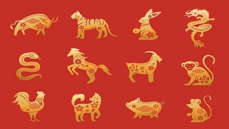 Tử vi 12 con giáp ngày 3/8: Thân, Tý có lộc, tiền bạc rủng rỉnh