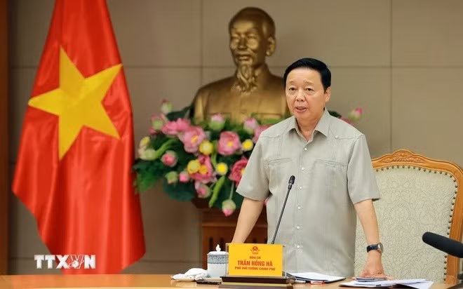 Trần Hồng Hà 02.jpg