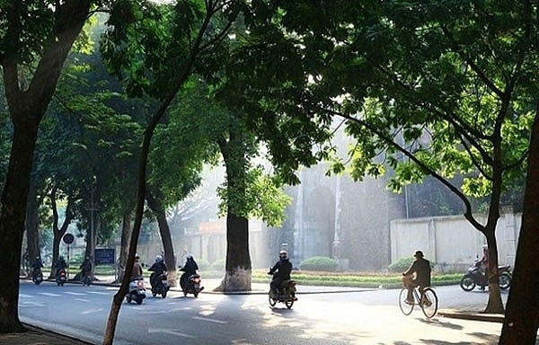Ảnh minh họa.