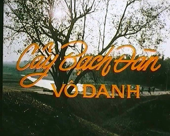 Bộ phim Cây bạch đàn vô danh. cay-bach-dan-1.jpg