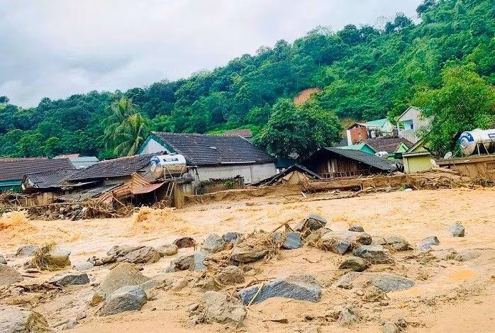 Ảnh đại diện.