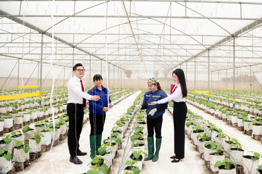 Agribank tăng cường nguồn lực cho khu vực “Tam nông” khẳng định cam kết đồng hành cùng các địa phương trong việc lan tỏa tài chính toàn diện, hướng đến một nền kinh tế bao trùm và phát triển bền vững. agribank-9.jpg