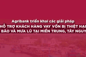 Agribank giảm tới 2% lãi vay hỗ trợ khách hàng thiệt hại do bão lũ