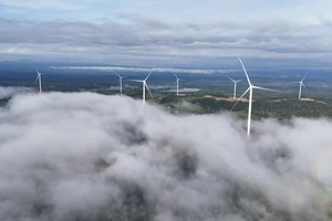 Savan 1: Dòng điện xuyên biên giới và vai trò của kinh tế tư nhân