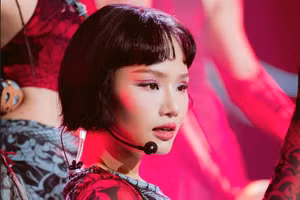 Ca sĩ Miu Lê tại một chương trình nghệ thuật trước khi bị bắt. Ảnh: FBNV.
