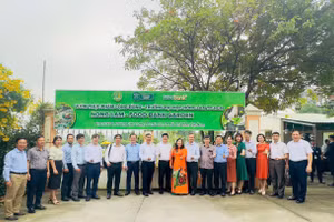 Các đại biểu tham quan khu vực vườn thực phẩm cộng đồng tại Trường ĐH Nông Lâm TPHCM. Ảnh: BTC.