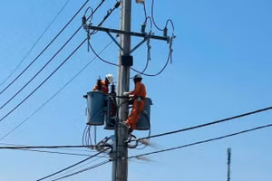 Nhân viên điện lực bảo trì lưới điện tại xã Thạnh An, TPHCM. Ảnh: EVNHCMC.