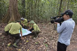 Phóng viên Lê Thành Nhân trong một lần tác nghiệp cùng lực lượng Kiểm lâm. Ảnh: NVCC.