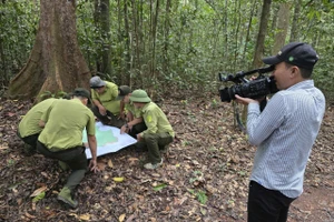 Phóng viên Lê Thành Nhân trong một lần tác nghiệp cùng lực lượng Kiểm lâm. Ảnh: NVCC.