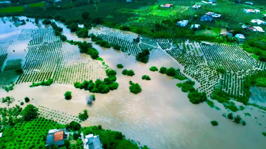 Diện tích thanh long chìm trong biển nước. z7161006305159-886f02dd6b12046f0cc53c4cce0b7963.jpg