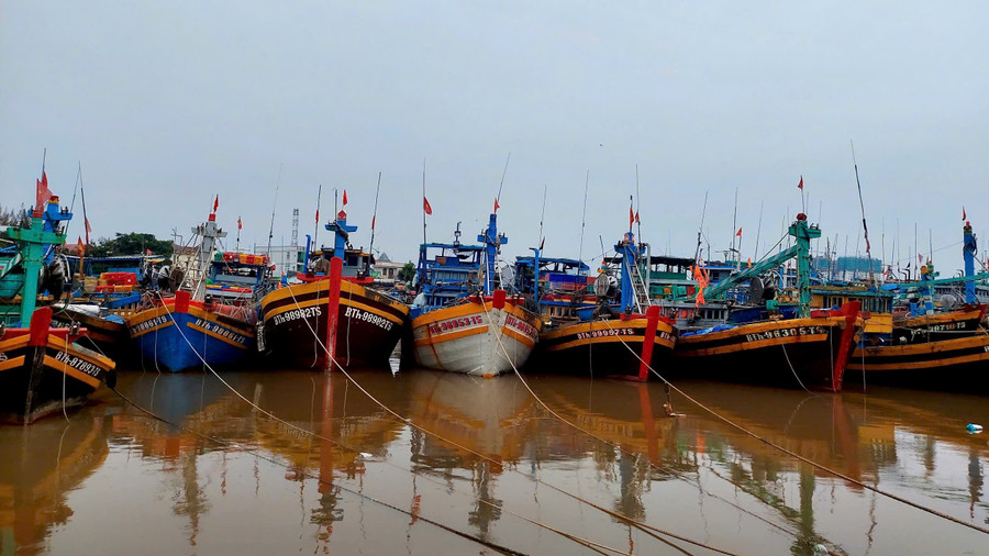 Các tàu cá vào nơi tránh trú bão an toàn.