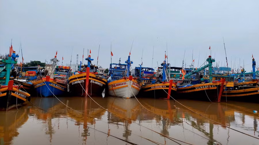 Lâm Đồng cấm tất cả tàu du lịch, tàu vận tải, phương tiện khai thác đánh bắt thủy hải sản hoạt động, đi lại trên biển. 