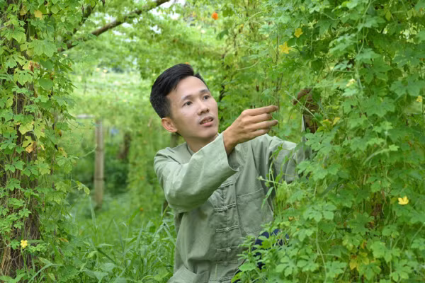 Anh Nguyễn Quốc Hoàng quyết tâm phát triển nông nghiệp sạch trên chính quê hương mình.