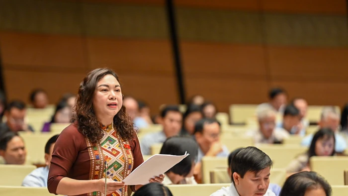 Bà Đặng Bích Ngọc – đoàn đại biểu Quốc hội tỉnh Hoà Bình.