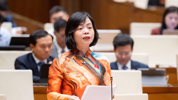 Đại biểu Nguyễn Thanh Cầm – Đoàn ĐBQH tỉnh Đồng Tháp cho ý kiến.