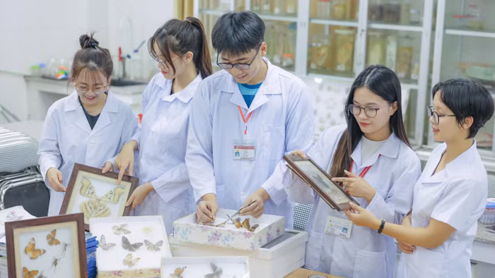 Sinh viên Trường Đại học Sư phạm Hà Nội 2.