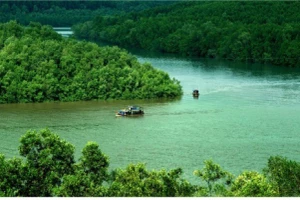 Khởi động chuyến du xuân bằng trải nghiệm khám phá rừng Sác là lựa chọn lý tưởng cho các gia đình.