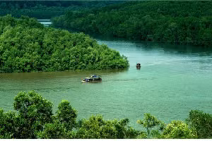 Khởi động chuyến du xuân bằng trải nghiệm khám phá rừng Sác là lựa chọn lý tưởng cho các gia đình.