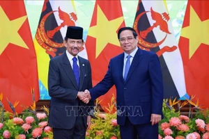 Thủ tướng Phạm Minh Chính hội kiến Quốc vương Brunei Darussalam Haji Hassanal Bolkiah. Ảnh: Dương Giang/TTXVN