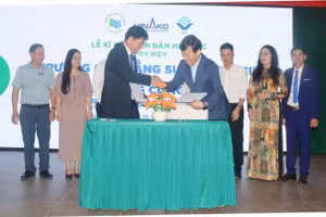 Trường Cao đẳng Công nghệ TPHCM hợp tác cùng Trường Cao đẳng Suncheon Jeil (Hàn Quốc).